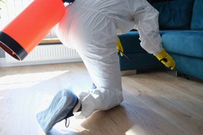 Residential Fumigation in Bellingham, WA