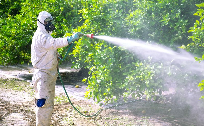 Residential Fumigation in West Palm Beach, FL