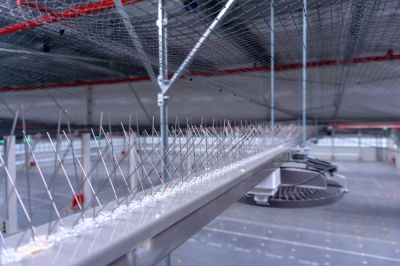 Plastic Bird Spikes Installation - Wildlife Removal New York County, New York