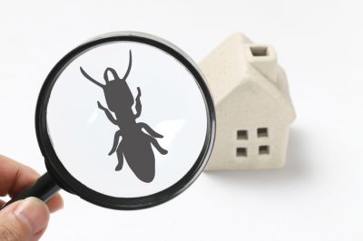 Termite Inspection - Termite Control Lombard, Illinois